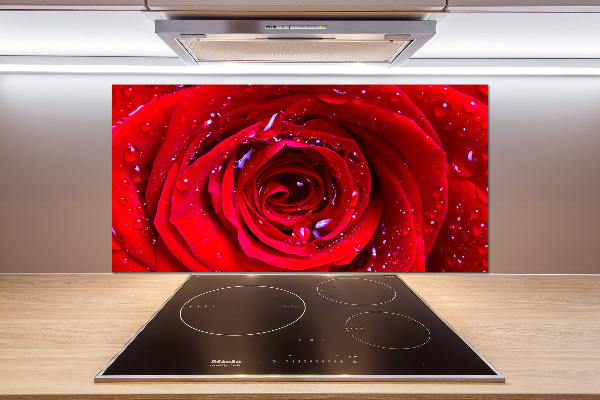 Glasrückwand für die küche Rosenblüte