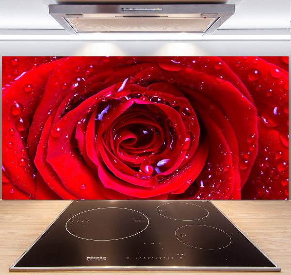 Glasrückwand für die küche Rosenblüte