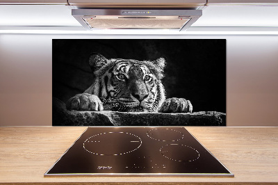 Glasrückwand für die küche Tiger