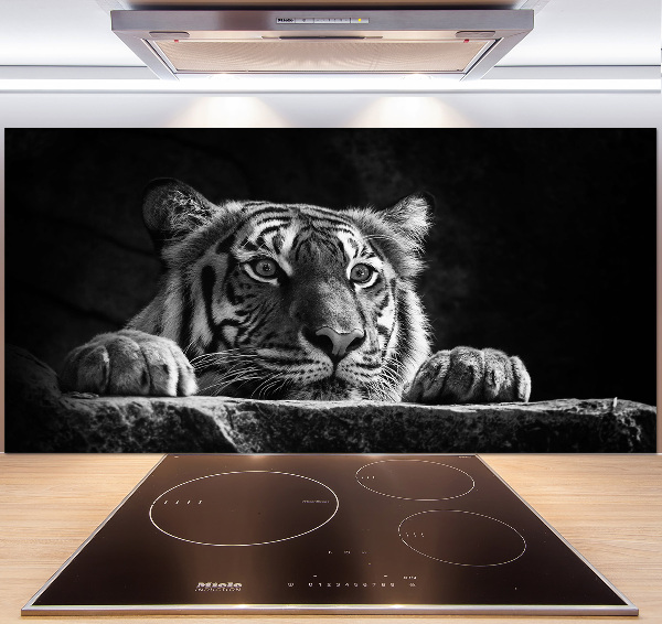 Glasrückwand für die küche Tiger