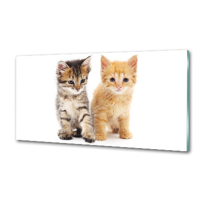 Platte für Küchenrückwand Braune und rote Katze