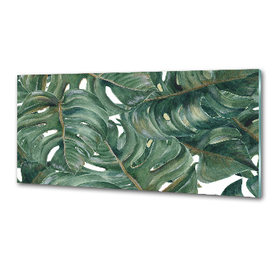 Glasrückwand für die küche Monstera