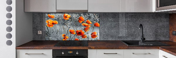 Küchen wandpaneel Feldmohn