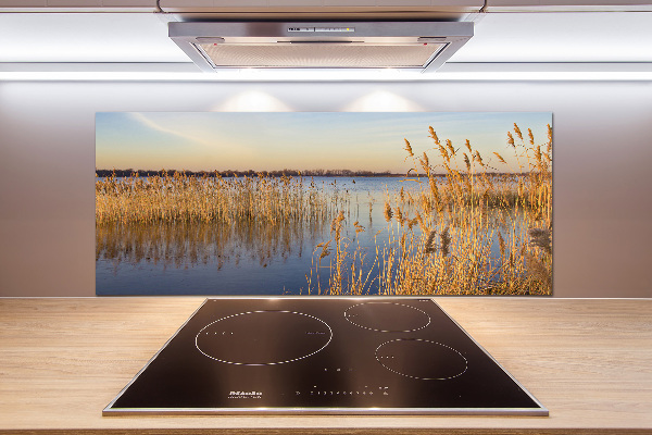 Glasrückwand für die küche Schilfrohr