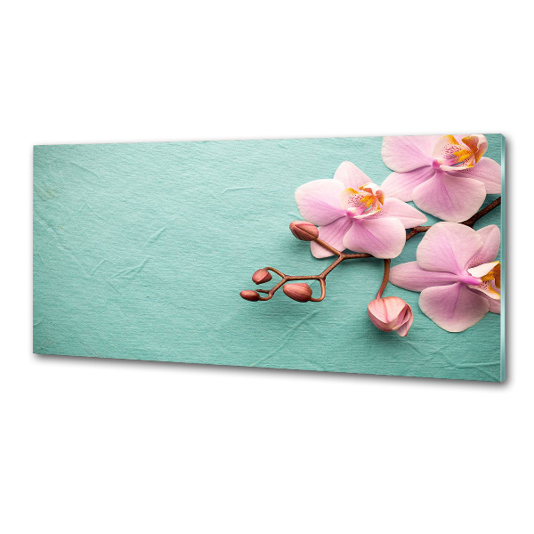 Glasrückwand für die küche Orchidee