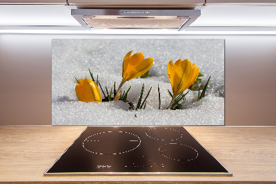 Küchen wandpaneel Krokusse im Schnee