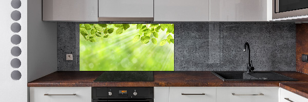 Glasrückwand für die küche Blätter