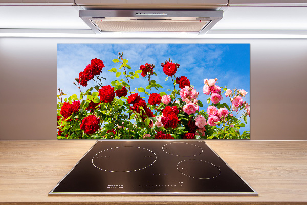 Platte für Küchenrückwand Wildrosen