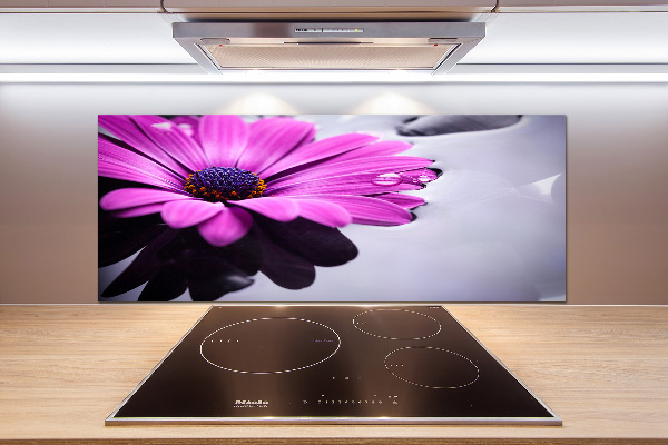 Küchen wandpaneel Gerbera