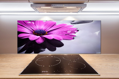 Küchen wandpaneel Gerbera