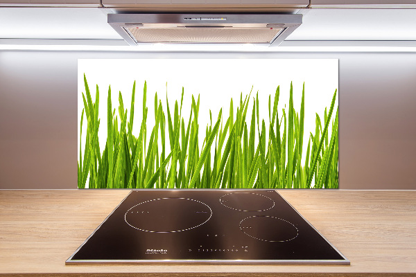 Glasrückwand für die küche Gras