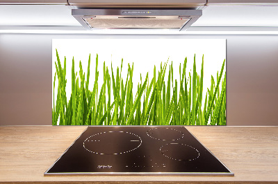 Glasrückwand für die küche Gras