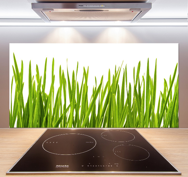 Glasrückwand für die küche Gras
