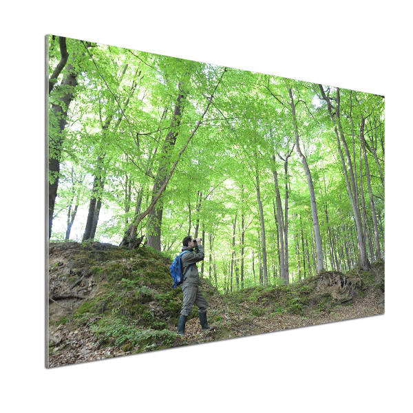 Platte für Küchenrückwand Ornithologe im Wald