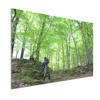 Platte für Küchenrückwand Ornithologe im Wald