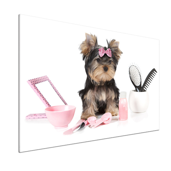 Platte für Küchenrückwand Yorkshire Kosmetik