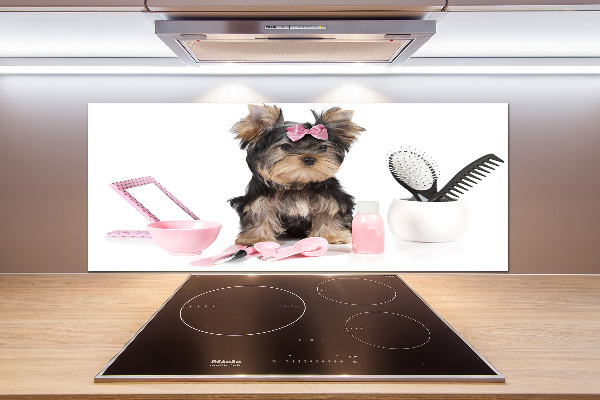 Platte für Küchenrückwand Yorkshire Kosmetik