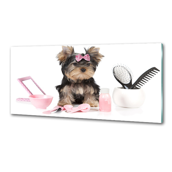 Platte für Küchenrückwand Yorkshire Kosmetik