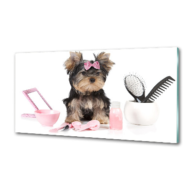 Platte für Küchenrückwand Yorkshire Kosmetik