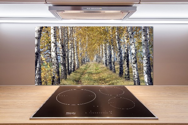 Platte für Küchenrückwand Birken im Herbst