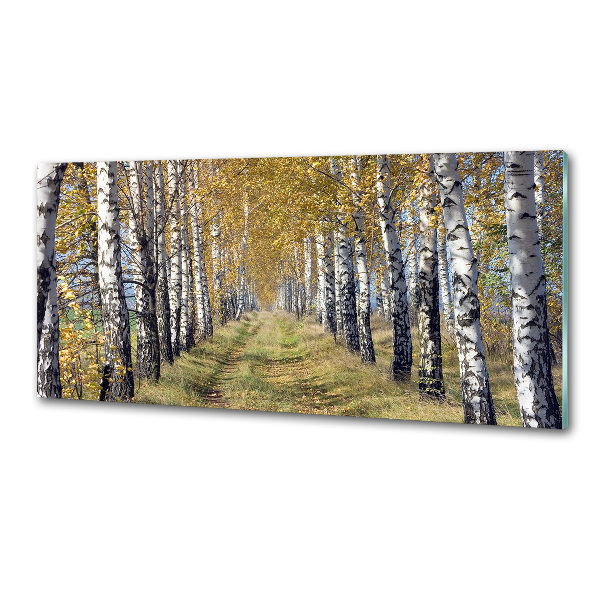 Platte für Küchenrückwand Birken im Herbst