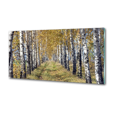 Platte für Küchenrückwand Birken im Herbst