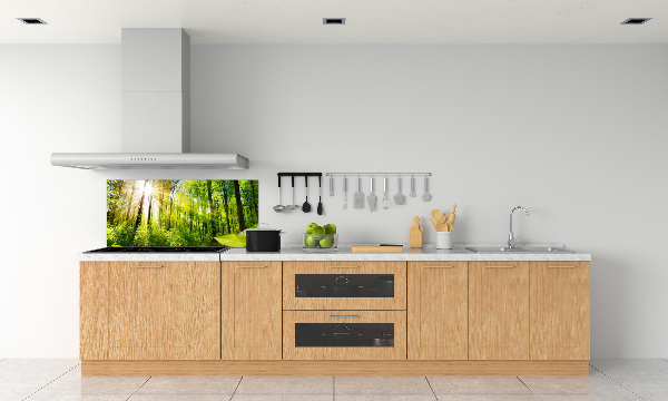 Glasrückwand für die küche Wald in der Sonne