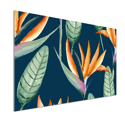 Glasrückwand für die küche Strelitzia reginae