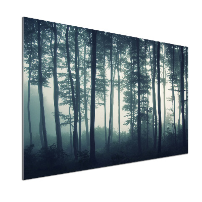 Küchen wandpaneel Wald im Nebel