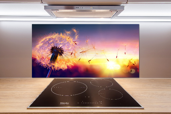 Platte für Küchenrückwand Löwenzahn