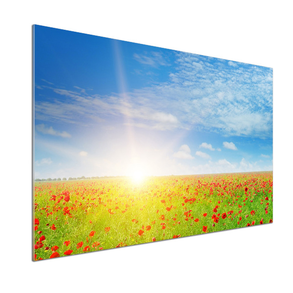 Glasrückwand für die küche Mohnfeld