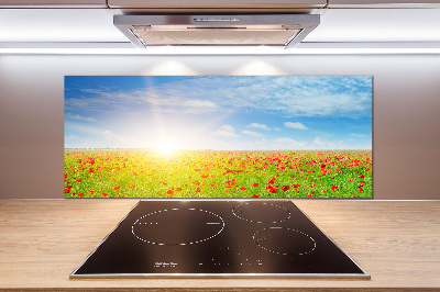 Glasrückwand für die küche Mohnfeld