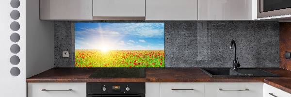 Glasrückwand für die küche Mohnfeld