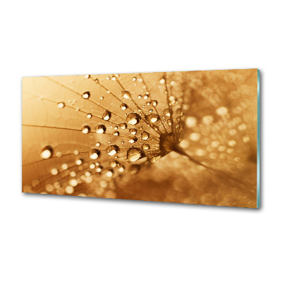 Küchen wandpaneel Löwenzahn