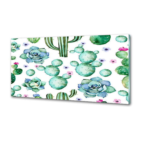 Küchen wandpaneel Kakteen