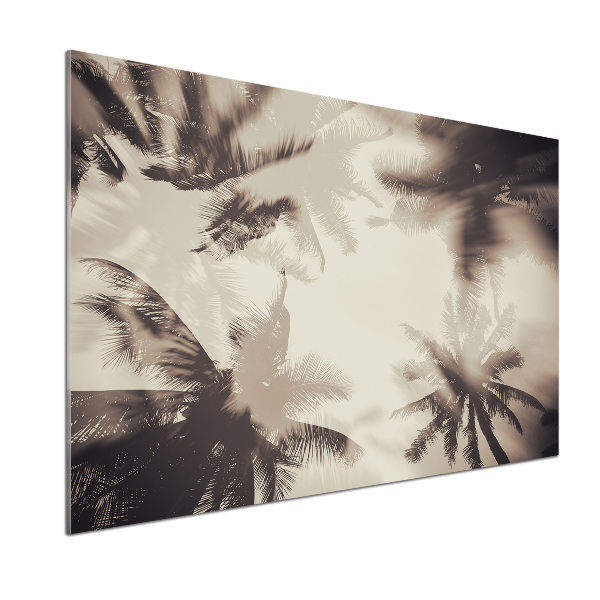 Glasrückwand für die küche Palmen