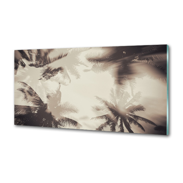 Glasrückwand für die küche Palmen