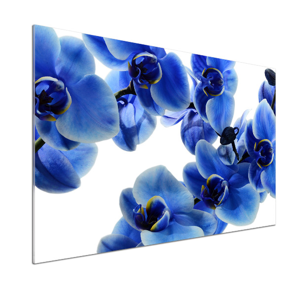 Platte für Küchenrückwand Blaue Orchidee