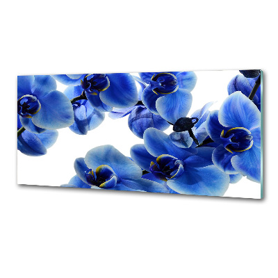 Platte für Küchenrückwand Blaue Orchidee