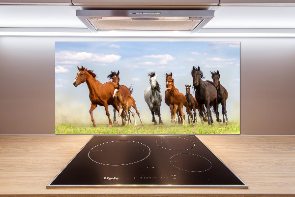 Glasrückwand für die küche Pferde im Galopp