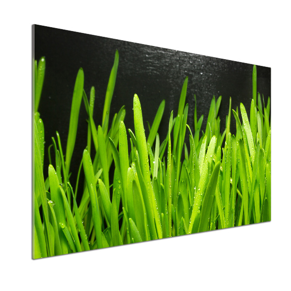 Küchen wandpaneel Gras