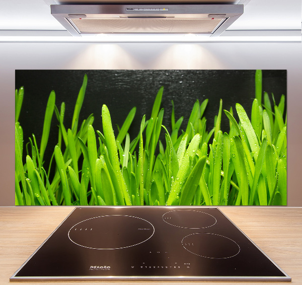 Küchen wandpaneel Gras