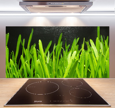 Küchen wandpaneel Gras