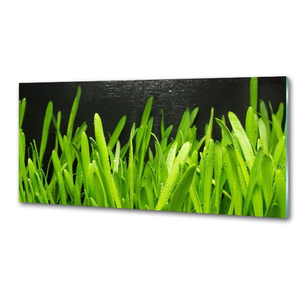 Küchen wandpaneel Gras