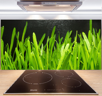 Küchen wandpaneel Gras