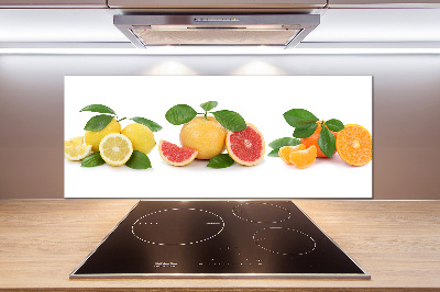 Platte für Küchenrückwand Zitrusfrüchte
