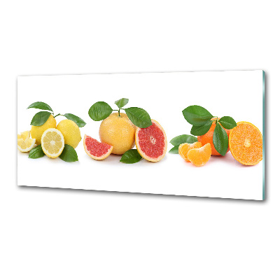 Platte für Küchenrückwand Zitrusfrüchte