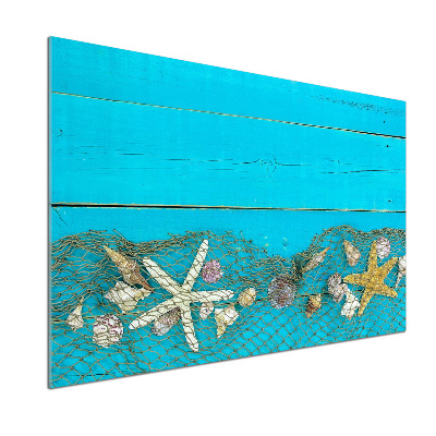 Küchen wandpaneel Seesterne und Muscheln