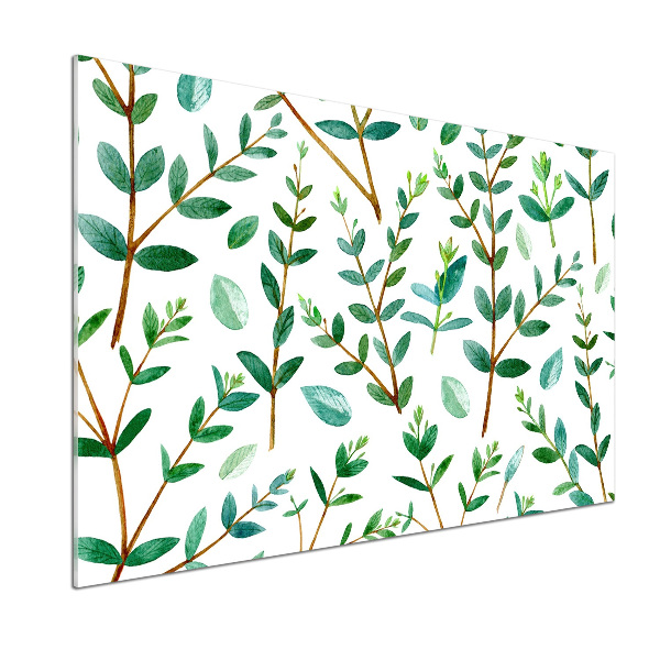 Platte für Küchenrückwand Eukalyptus