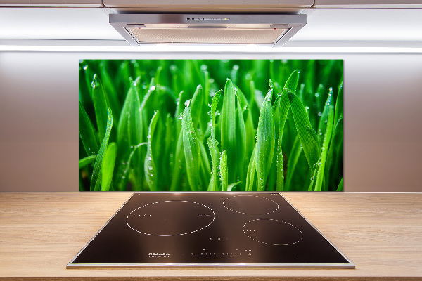 Platte für Küchenrückwand Gras